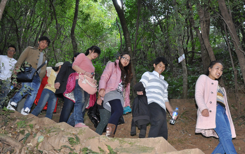 青龍峽位于昆明西郊安寧市青龍鎮(zhèn)滇中生態(tài)大峽谷中，景區(qū)有保存較為完好的植物群落，遮天蔽日的參天古木；有浪漫山花，野果飄香，還有清秀寧靜的田園風(fēng)光。河谷沿岸古柳成蔭，幾十里的云南櫻花大道成為昆明郊游靚麗的風(fēng)景線。景區(qū)中溪水潺潺，千姿百態(tài)、千奇百怪的蔓藤風(fēng)光隨處可見，號稱“都市身旁的小九寨。